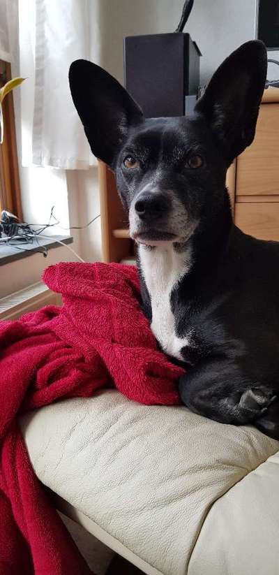 Moviestar-Pics!-Beitrag-Bild