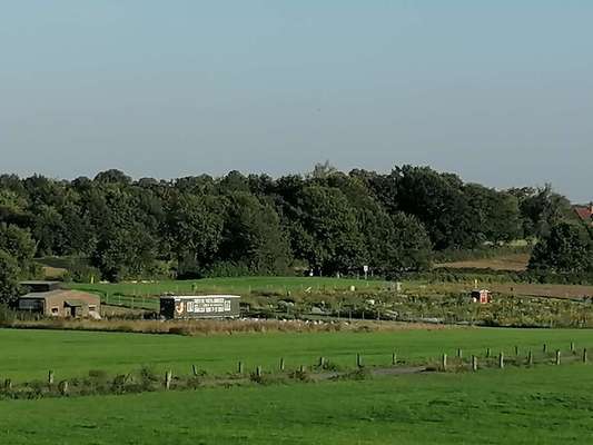 Hundeauslaufgebiet-Bauer Godde-Bild