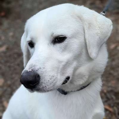 Petra's Profilbild