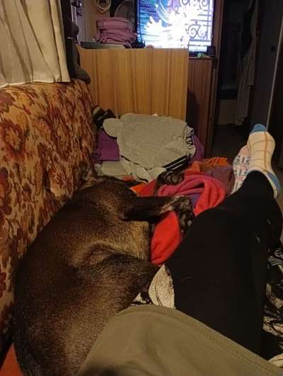 In Gülle gewälzt-Beitrag-Bild