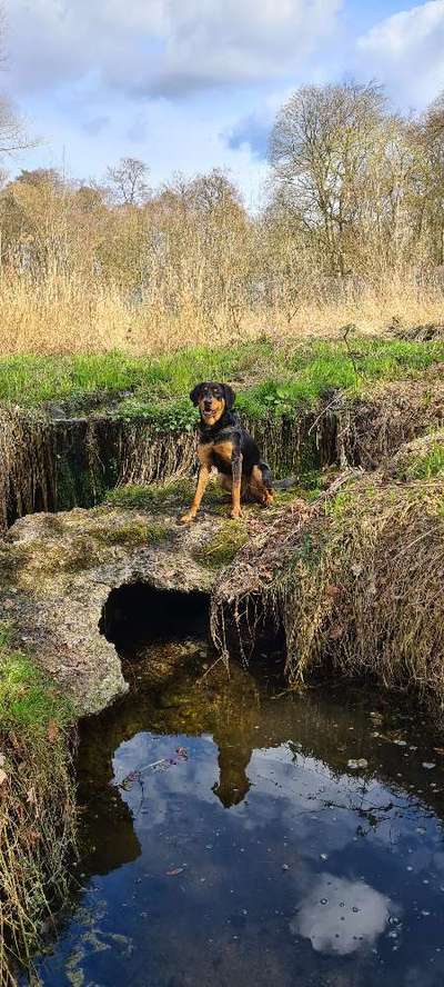 Fotochallenge No. 26                                     Wald und Wiese-Beitrag-Bild
