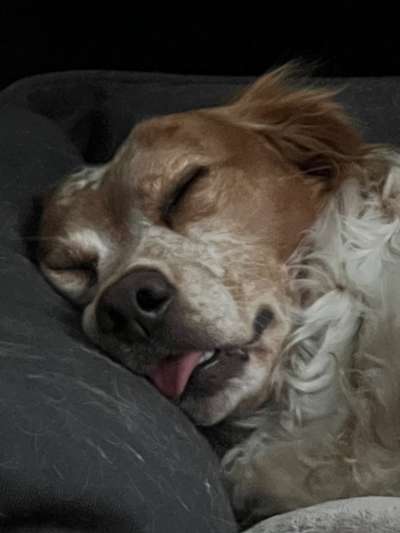 Wissenswoche - Deine Fragen zum Event-Beitrag-Bild