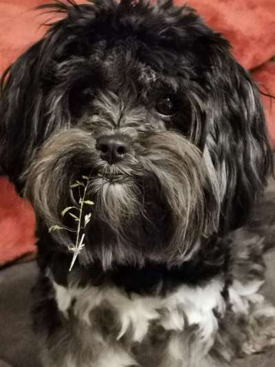 Zeigt eure Portraits-Beitrag-Bild