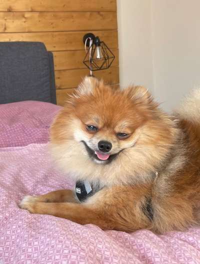 Fotochallenge Nr.122-Beitrag-Bild