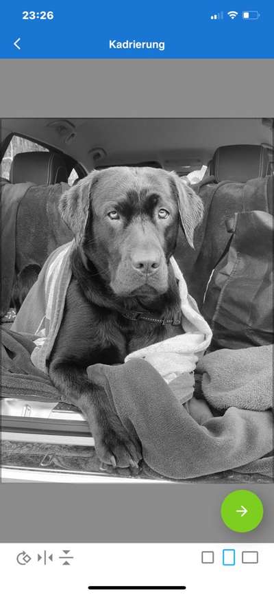 Lieblingsbild-Beitrag-Bild