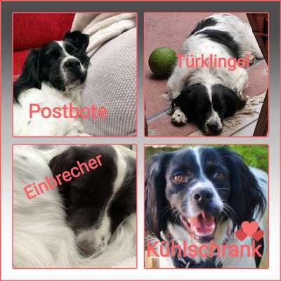 Hier ist der Spaßthread. Zum Schmunzeln und Kaputtlachen-Beitrag-Bild