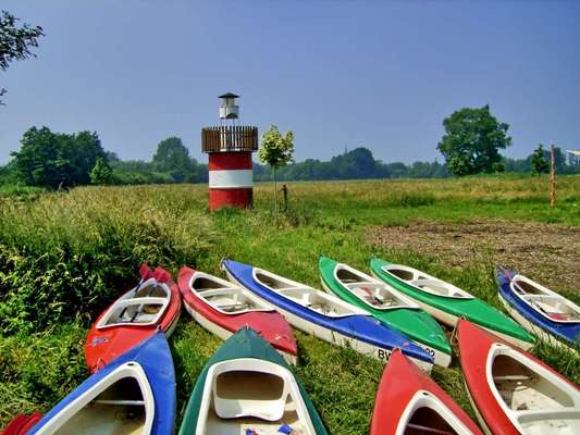 Die wunderschöne Welt mit Hund.-Beitrag-Bild