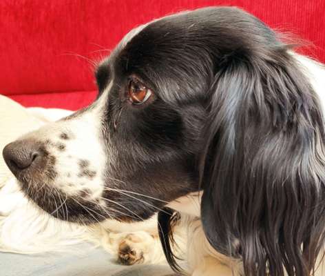 Blick fürs Detail!-Beitrag-Bild