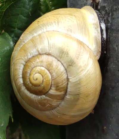 Die wunderschöne Welt mit Hund.-Beitrag-Bild