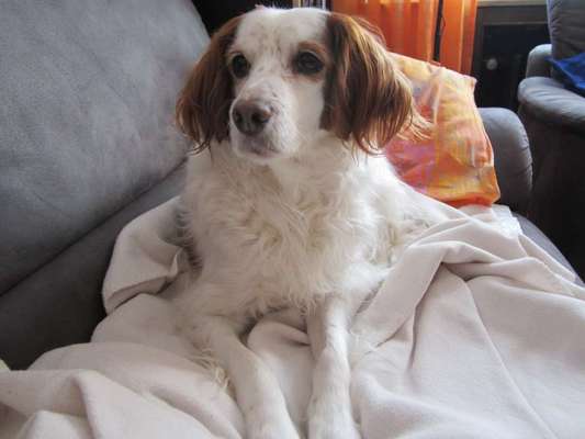 Fotochallenge Nr. 56 - geliebte Senioren-Beitrag-Bild