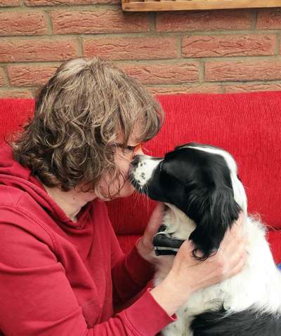 Dogorama Photo Challenge - Be my valentine-Beitrag-Bild