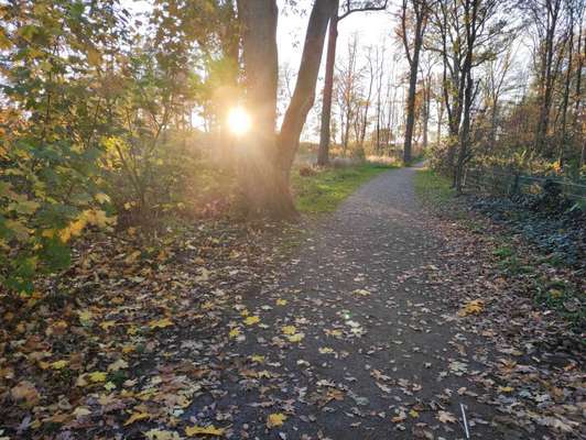 Die wunderschöne Welt mit Hund.-Beitrag-Bild