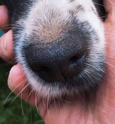 Blick fürs Detail!-Beitrag-Bild