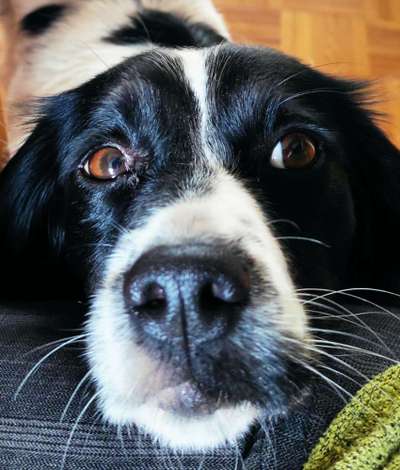 Blick fürs Detail!-Beitrag-Bild