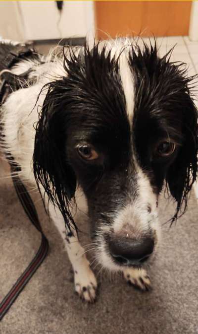 Fotochallenge 27-Beitrag-Bild