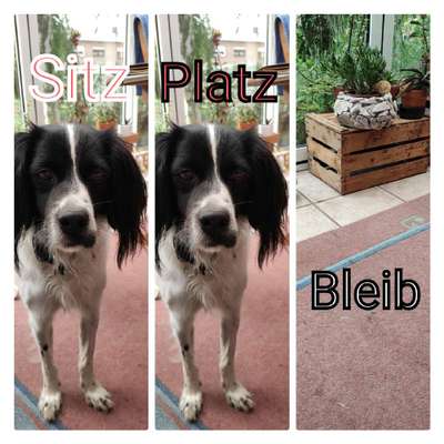 Hier ist der Spaßthread. Zum Schmunzeln und Kaputtlachen-Beitrag-Bild