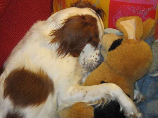 CHALLENGE NR. 34 - Liege-/Schlafpositionen-Beitrag-Bild