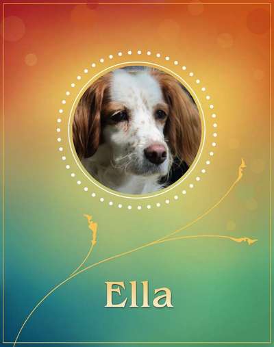 Blick fürs Detail!-Beitrag-Bild