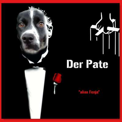 Photomontagen mit Hund-Beitrag-Bild