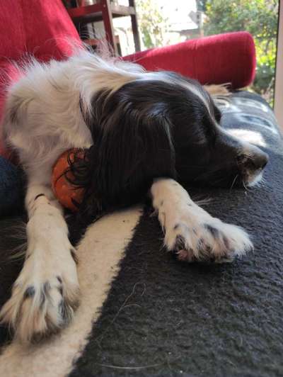 CHALLENGE NR. 34 - Liege-/Schlafpositionen-Beitrag-Bild