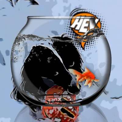 Der Hund als Cartoon-Beitrag-Bild