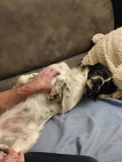 Fotochallenge Nr.65-Beitrag-Bild