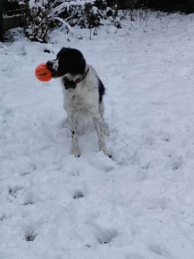 Challenge Nr. 15
Spiel im Schnee-Beitrag-Bild