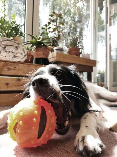 Fotochallenge Nr. 64-Beitrag-Bild