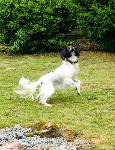 Fotochallenge Nr. 52 „Spring!“-Beitrag-Bild