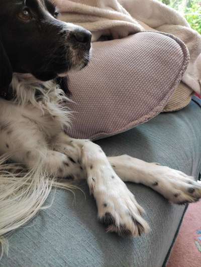 Blick fürs Detail!-Beitrag-Bild