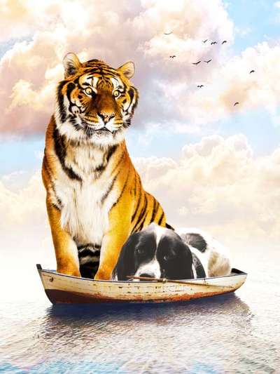 Photomontagen mit Hund-Beitrag-Bild