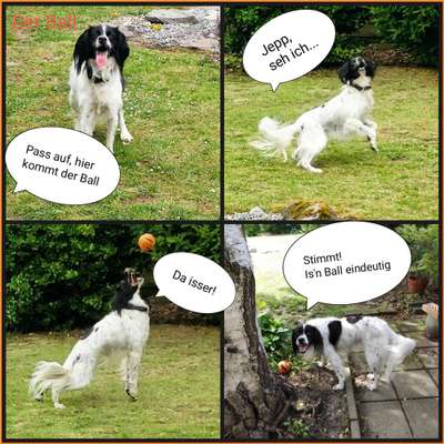 Hier ist der Spaßthread. Zum Schmunzeln und Kaputtlachen-Beitrag-Bild