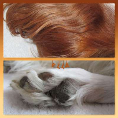 Blick fürs Detail!-Beitrag-Bild