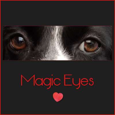 Blick fürs Detail!-Beitrag-Bild