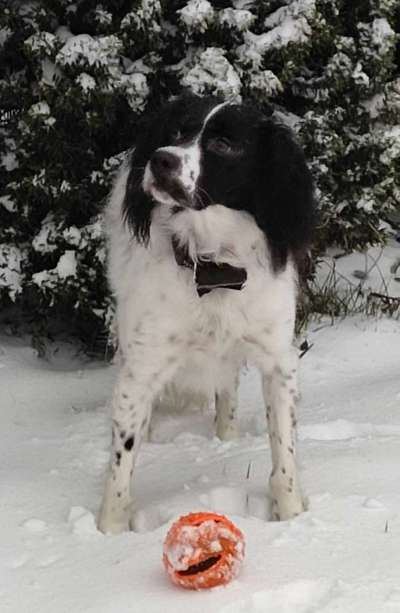 Fotochallenge 61 ~ Schnee-Beitrag-Bild