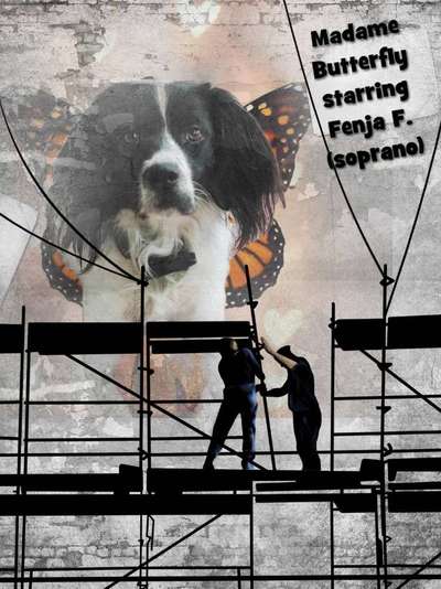 Photomontagen mit Hund-Beitrag-Bild