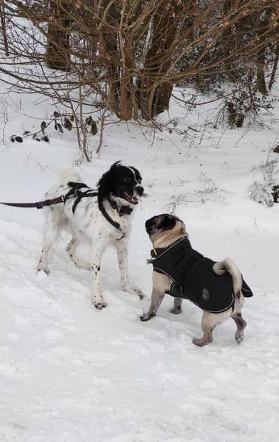 Challenge 30  Freundschaft-Beitrag-Bild