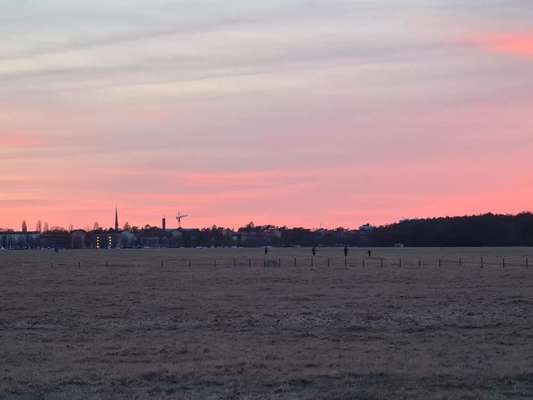 Hundeauslaufgebiet-Panzerwiese-Bild