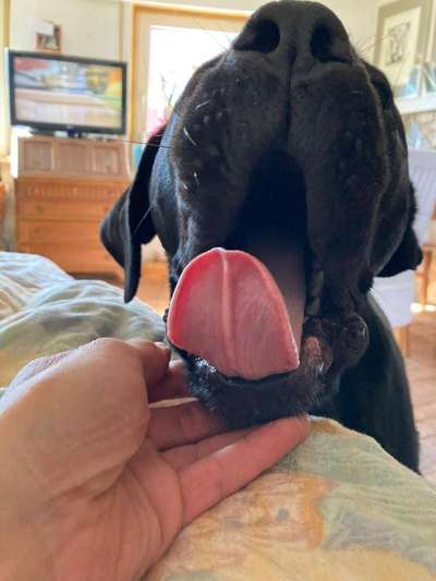 Handyfoto challenge Nr. 13: Waschlappen raus!-Beitrag-Bild