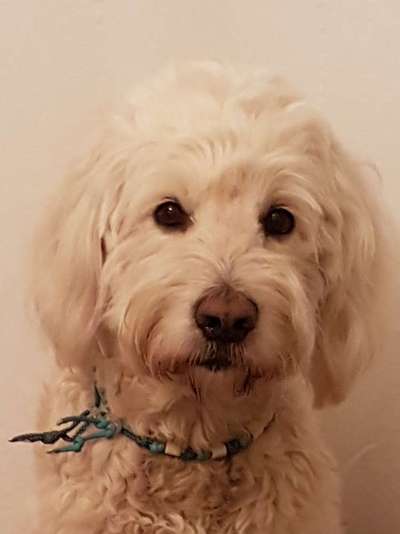 Fotochallange Nr. 57     PORTRÄT.   Beendet!!!!!!!!-Beitrag-Bild