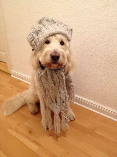 modenshow-Beitrag-Bild