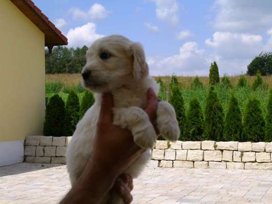 Sie werden so schnell erwachsen ...-Beitrag-Bild