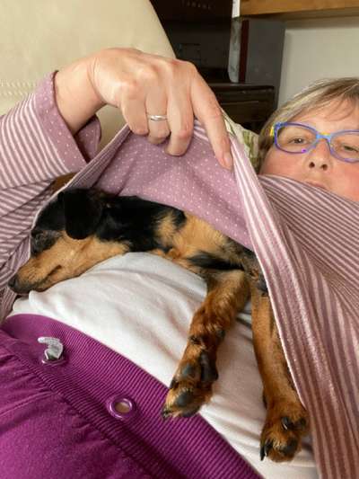 Prager Rattler-Beitrag-Bild