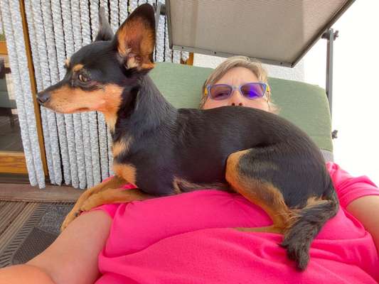 Prager Rattler-Beitrag-Bild