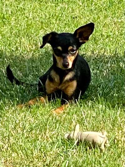 Fotochallenge 37- Sommerfeeling-Beitrag-Bild