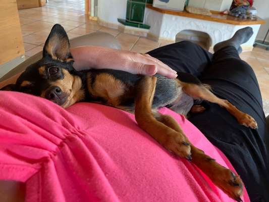 Prager Rattler-Beitrag-Bild