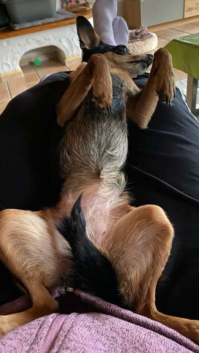 Prager Rattler-Beitrag-Bild