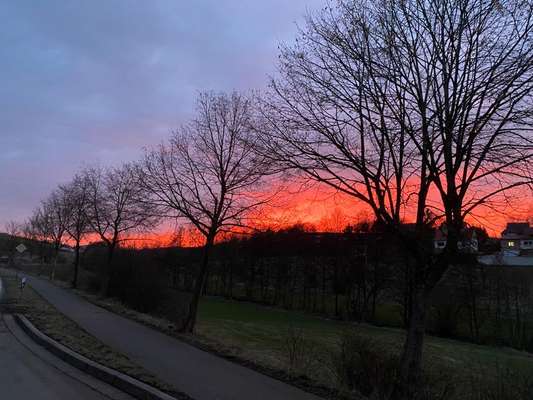 Die wunderschöne Welt mit Hund.-Beitrag-Bild