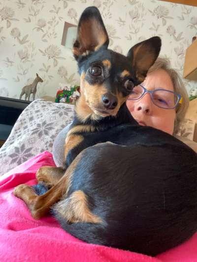 Prager Rattler-Beitrag-Bild