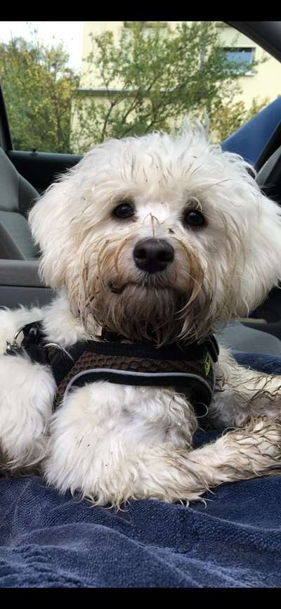 Fotochallange Nr. 57     PORTRÄT.   Beendet!!!!!!!!-Beitrag-Bild